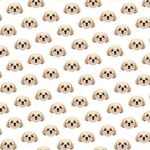Small Shih Tzu Dog Pattern - White