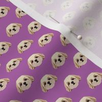 Small Shih Tzu Dog Pattern - Purple