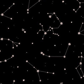 zodiac constellations