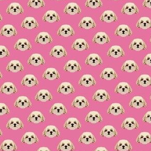 Small Shih Tzu Dog Pattern - Pink