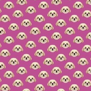 Small Shih Tzu Dog Pattern - Magenta Purple