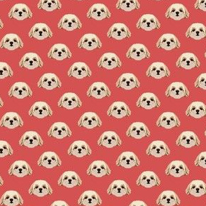 Small Shih Tzu Dog Pattern - Red