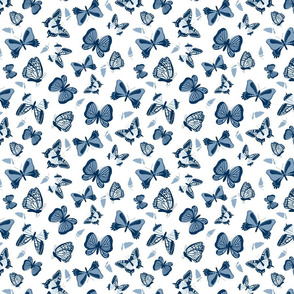Blue Butterflies on White