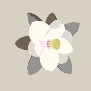 pale magnolia 3-grey-greenish background pale
