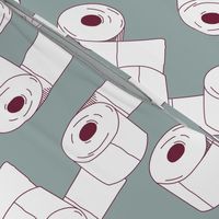 Correct toilet paper p5507