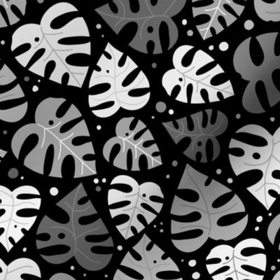 Monstera Doodles in Black, White & Grey