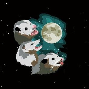 three possum moon