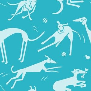 whippet-greyhound-aqua_blue