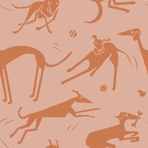 whippet-greyhound-melon_pink