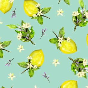 Posy Lemon Dance on Dark Mint 