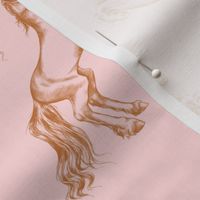 Rearing Horses Pink & Chestnut // standard