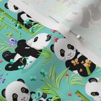 Average size, Cheerful panda with bamboo, bright turquoise background