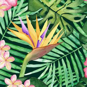 Watercolour Tropics