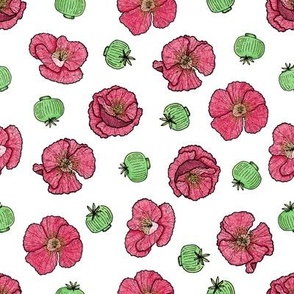 Poppies flowers and seeds pattern