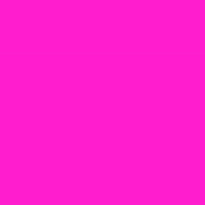 From The Crayon Box – Hot Magenta - Bright Neon Pink Purple Solid Color Accent