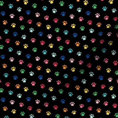 rainbow paw prints on black