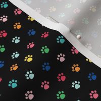 rainbow paw prints on black