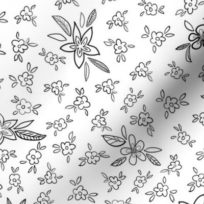 Floral outlines on white