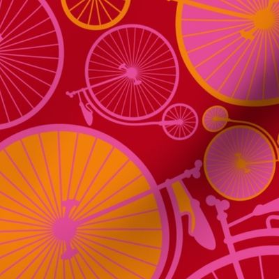 bicycle or grapefruit ? 