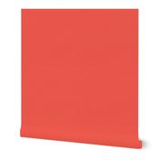 From The Crayon Box - Sunset Orange - Bright Tropical Orange Solid Color