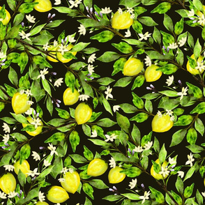 Lemon Orchard on Black