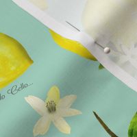 Mello Cello Time Lemons onDark Mint