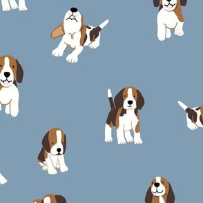 Beagle dog on blue