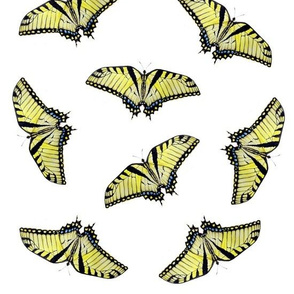 Swallowtail Butterfly Party