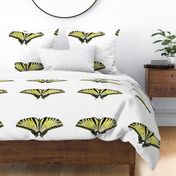 Swallowtail Butterfly Pillow Panels