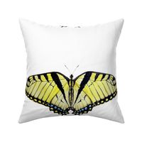 Swallowtail Butterfly Pillow Panels