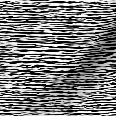 Safari Animal Stripes - black and white - horizontal