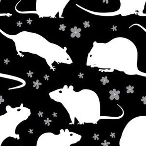 White silhouette rats