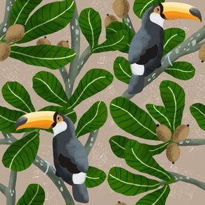 Toucans among tropical leaves on a brown cappuccino background 
