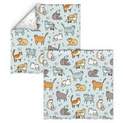 Cute special cats cartoon pattern