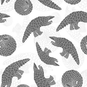 Pangolins in Grayscale