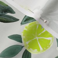Dear Clementine - limes on gray