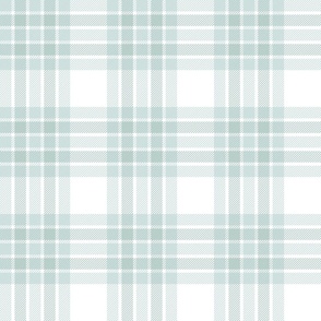 Tartan Plaid Sea Glass Green White