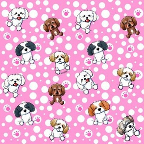 Tiny Shih Tzus On Pink