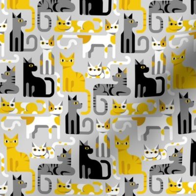 yellow gray cats - 1/2