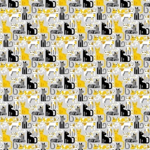 yellow gray cats - 1/2