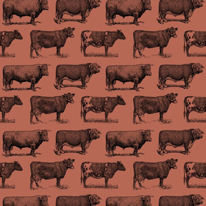 Classic Cow Illustrations in Black with Santa Fe Brown Background