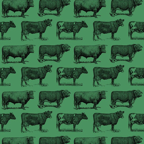 Classic Cow Illustrations in Black with Chateau Green Background