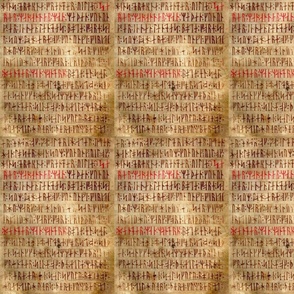 Smaller Codex Runicus