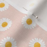 daisies - happy day daisy flowers - pink - LAD20