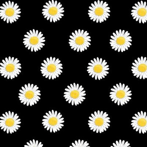 daisies - happy day daisy flowers - black - LAD20