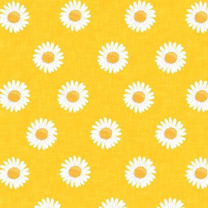 daisies - happy day daisy flowers - yellow - LAD20