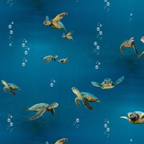 turtles under the sea - p.e. - small