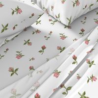 Scattered Vintage Rosebuds - white, large 