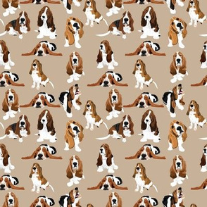 basset hound wallpaper