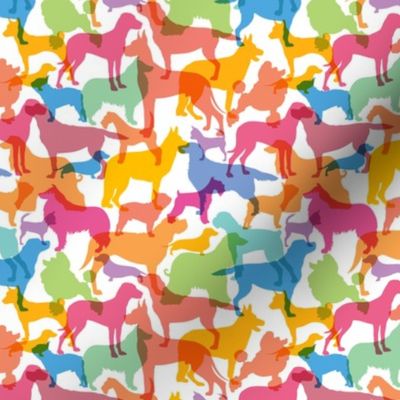 Small scale • Bright Multicolor Animals - Autism - All different all equal
